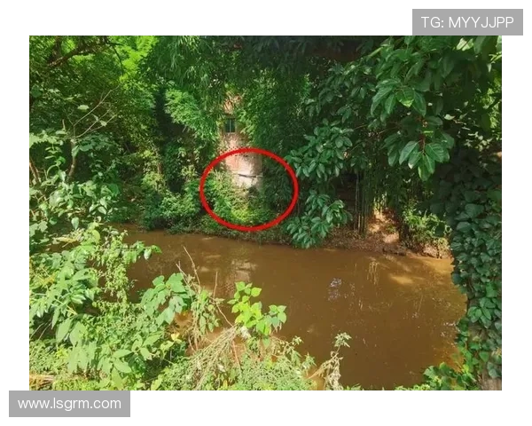 看了神秘河，我花了6小时才理清这10条线索