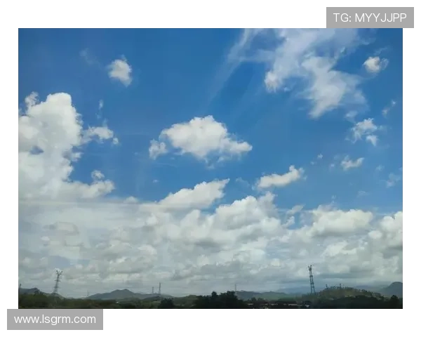 马路的春天在城市的缝隙中绽放爱与希望的光芒 马路的春天在城市的缝隙中绽放爱与希望的光芒